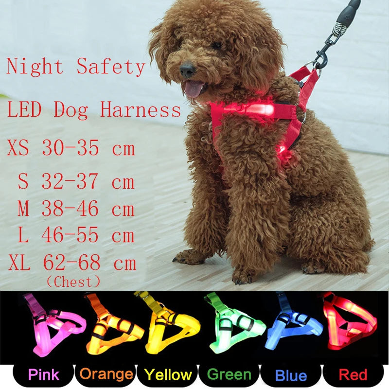 USB Rechargeable Light Up Dog Harness - Night Safety with LED Anti-Pull