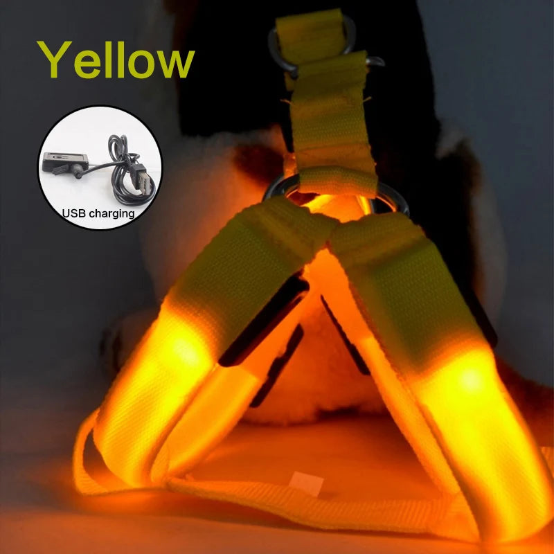 USB Rechargeable Light Up Dog Harness - Night Safety with LED Anti-Pull