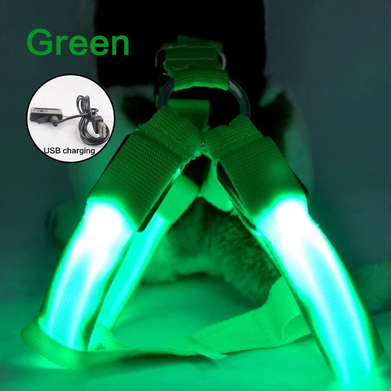 USB Rechargeable Light Up Dog Harness - Night Safety with LED Anti-Pull