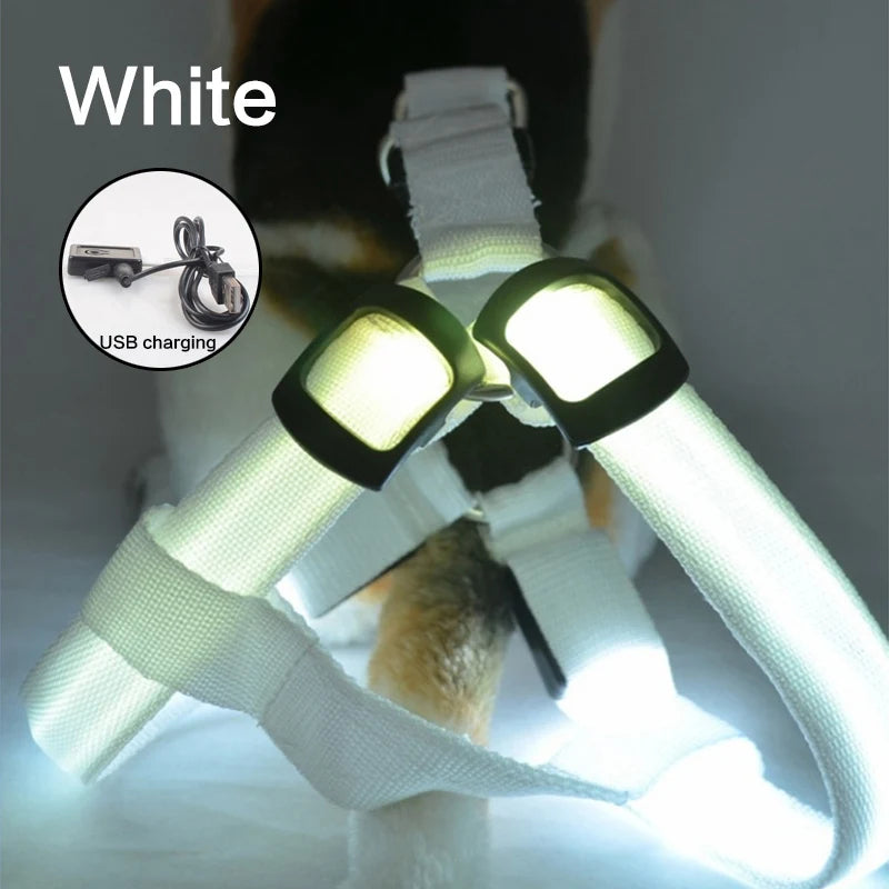 USB Rechargeable Light Up Dog Harness - Night Safety with LED Anti-Pull
