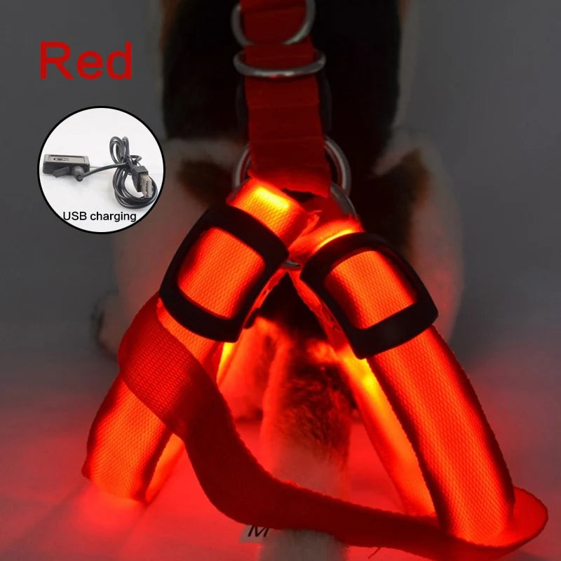 USB Rechargeable Light Up Dog Harness - Night Safety with LED Anti-Pull