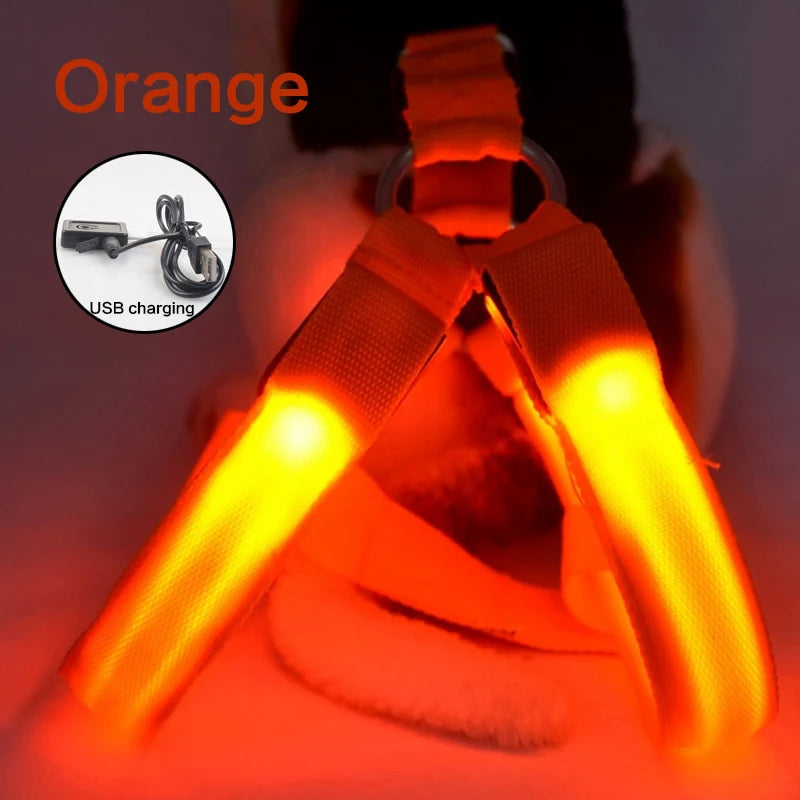 USB Rechargeable Light Up Dog Harness - Night Safety with LED Anti-Pull