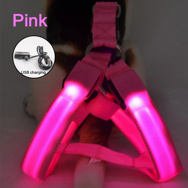 USB Rechargeable Light Up Dog Harness - Night Safety with LED Anti-Pull