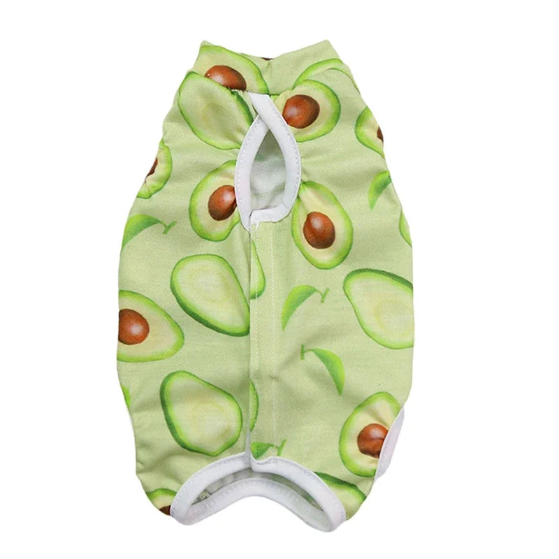 Abbigliamento Weaning per Gatti – Gilet Morbido e Traspirante per Protezione e Comfort