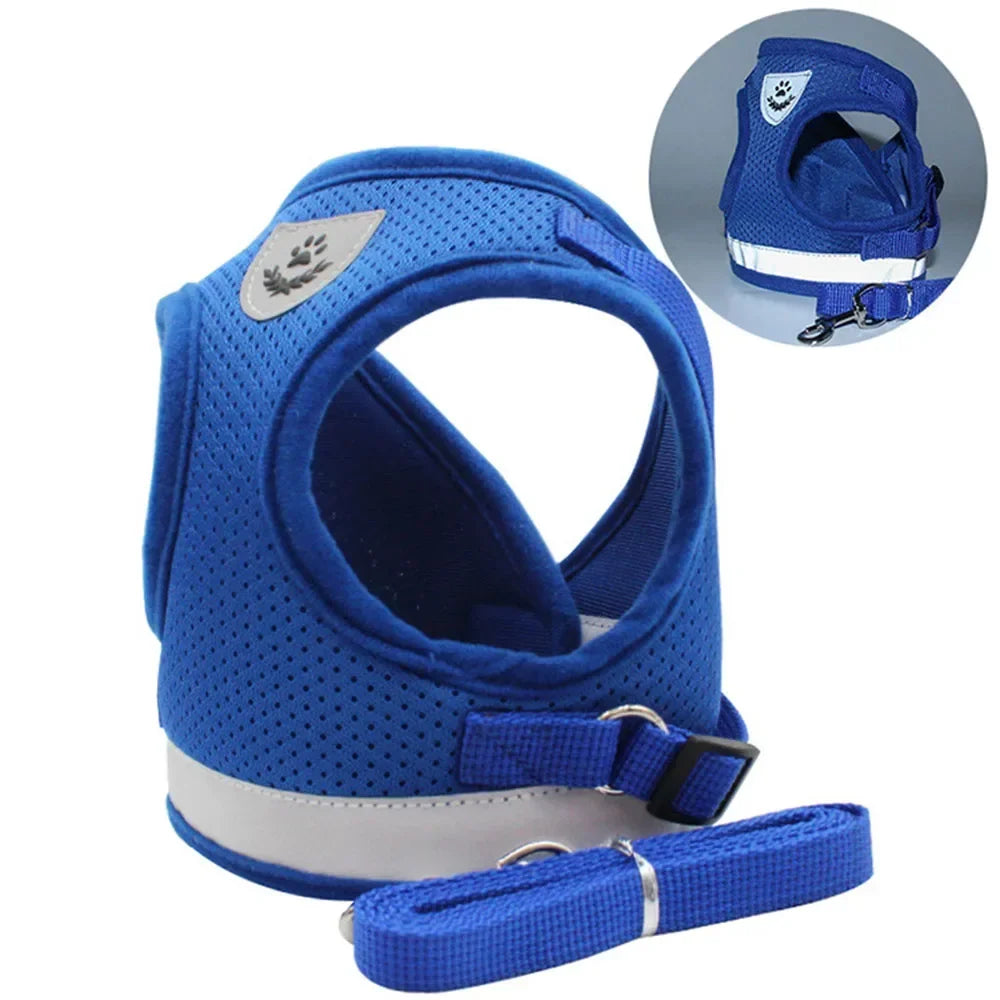 Cat and Dog Harness – Adjustable, Reflective and Escape-Proof for Safe Walks