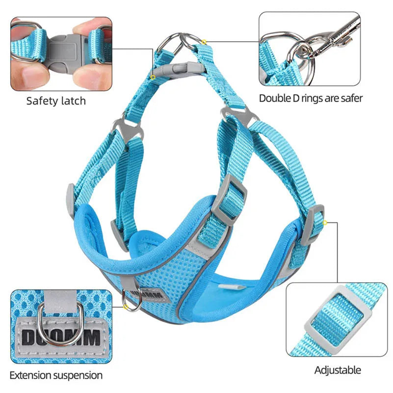 Dog Harness with Leash and Harness Set - Comfortable, Adjustable and Perfect for Small and Medium Dogs Like Chihuahua and Bulldog