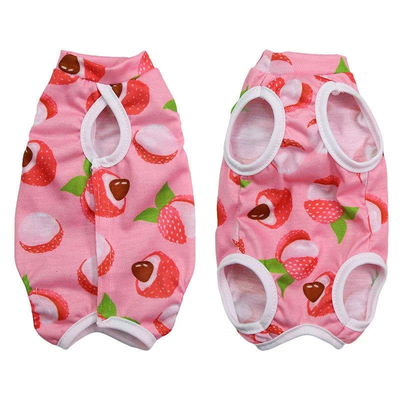 Abbigliamento Weaning per Gatti – Gilet Morbido e Traspirante per Protezione e Comfort