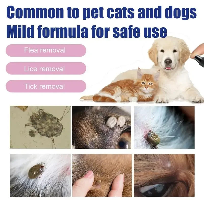 Gocce Anti-Pulci 100ml per Cani e Gatti – Formula Unica per Prevenire Pulci, Zecche e Pidocchi in Modo Sicuro e Efficace