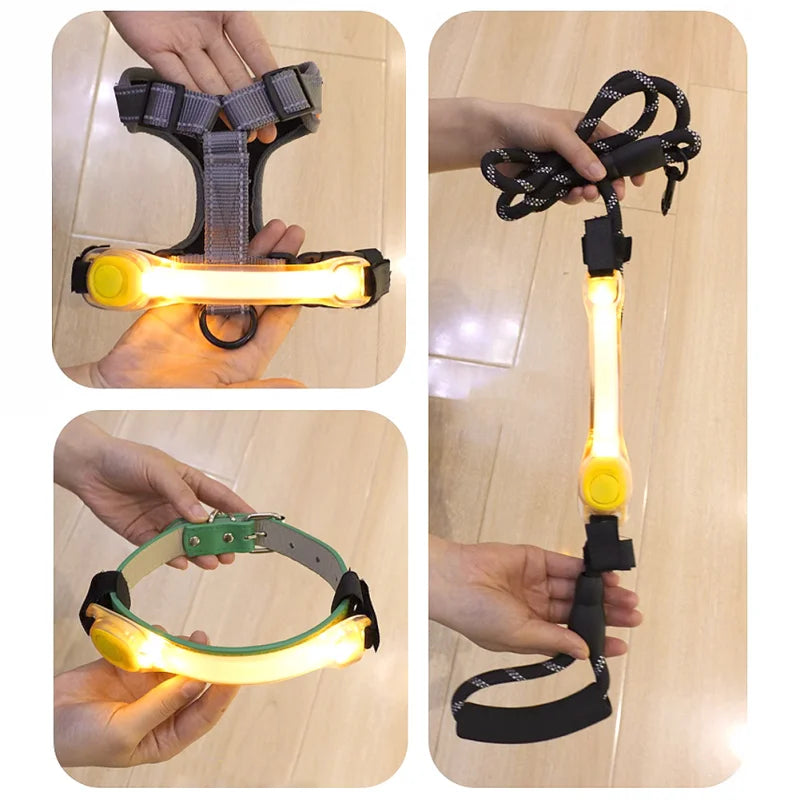 Collare e Guinzaglio LED Luminoso per Cani – Sicurezza e Visibilità con Protezione Antismarrimento!