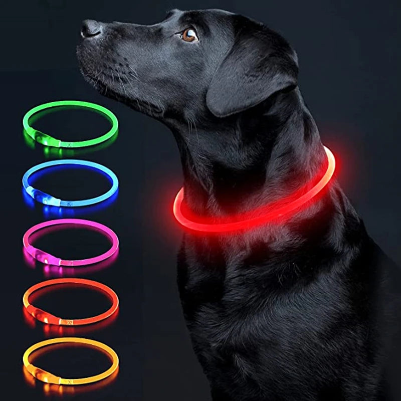 Collare LED Luminoso per Cani e Gatti – Ricaricabile USB e Sicuro per la Notte