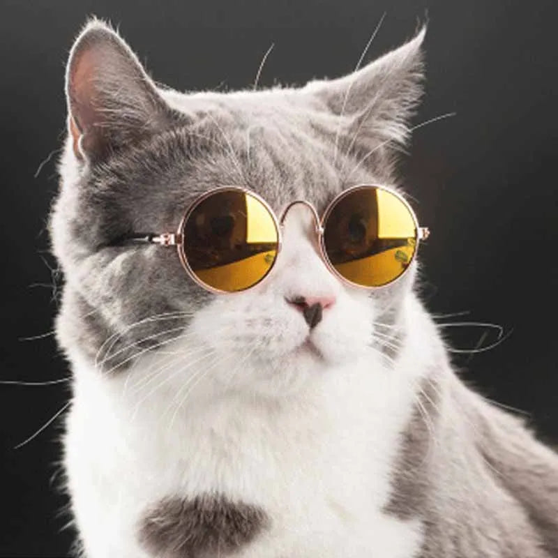 Occhiali da Sole per Gatti e Cani – Accessori Fashion e Divertenti per Piccoli Animali, Perfetti per Foto