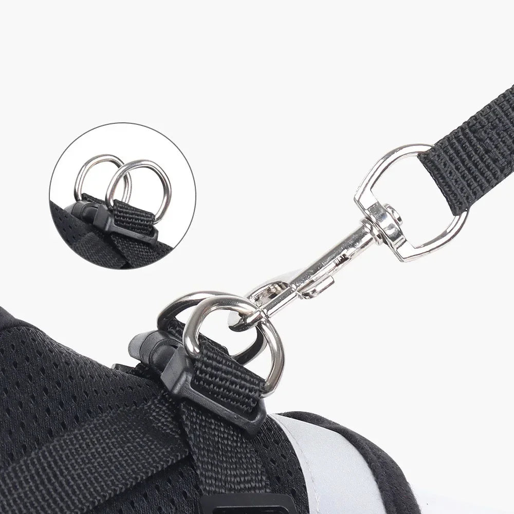 Cat and Dog Harness – Adjustable, Reflective and Escape-Proof for Safe Walks