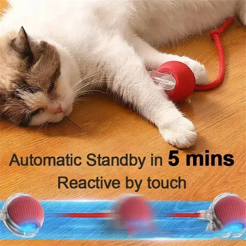 Pallina Smart con Coda – Il Gioco Elettrico Ricaricabile che Fa Impazzire Cani e Gatti
