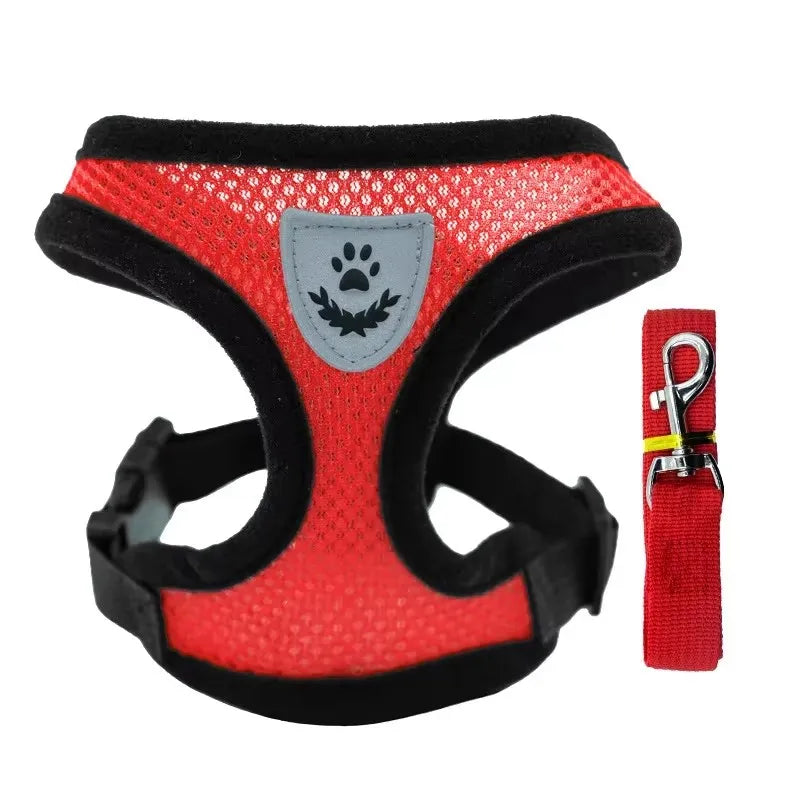 Imbracatura e Guinzaglio per Gatti e Cani – Collare Regolabile, Sistema Anti-Evasione per Passeggiate Sicure e Confortevoli