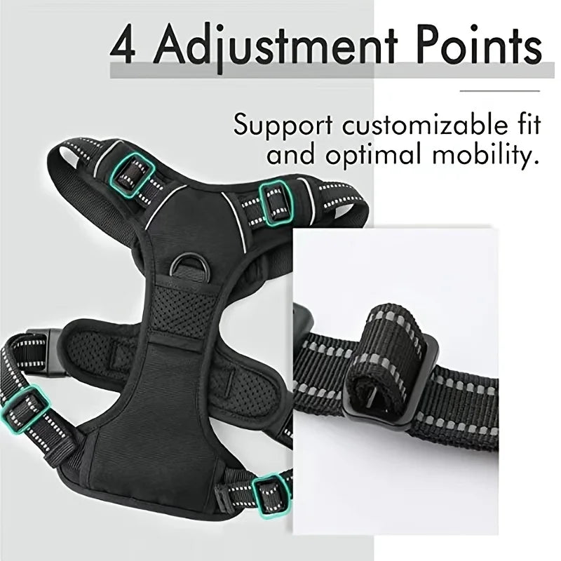 Dog Harness – With 2 Leash Clips, Adjustable and Comfortable, For Safe and Controlled Walking – Black