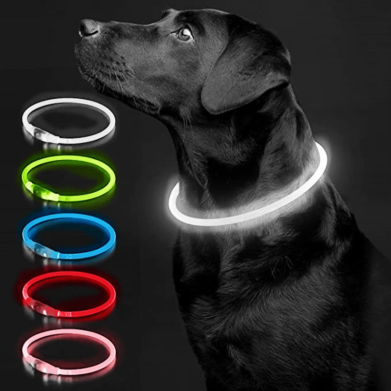 Collare LED Luminoso per Cani e Gatti – Ricaricabile USB e Sicuro per la Notte