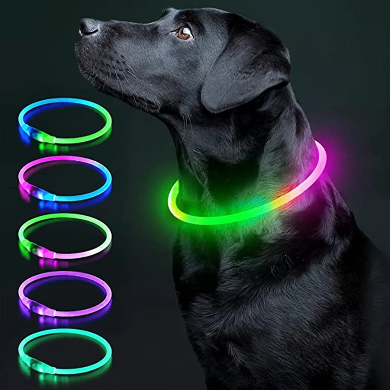 Collare LED Luminoso per Cani e Gatti – Ricaricabile USB e Sicuro per la Notte