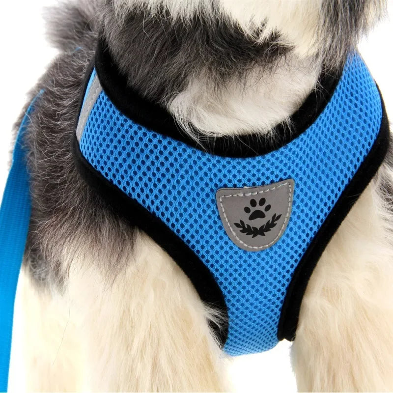 Imbracatura e Guinzaglio per Gatti e Cani – Collare Regolabile, Sistema Anti-Evasione per Passeggiate Sicure e Confortevoli