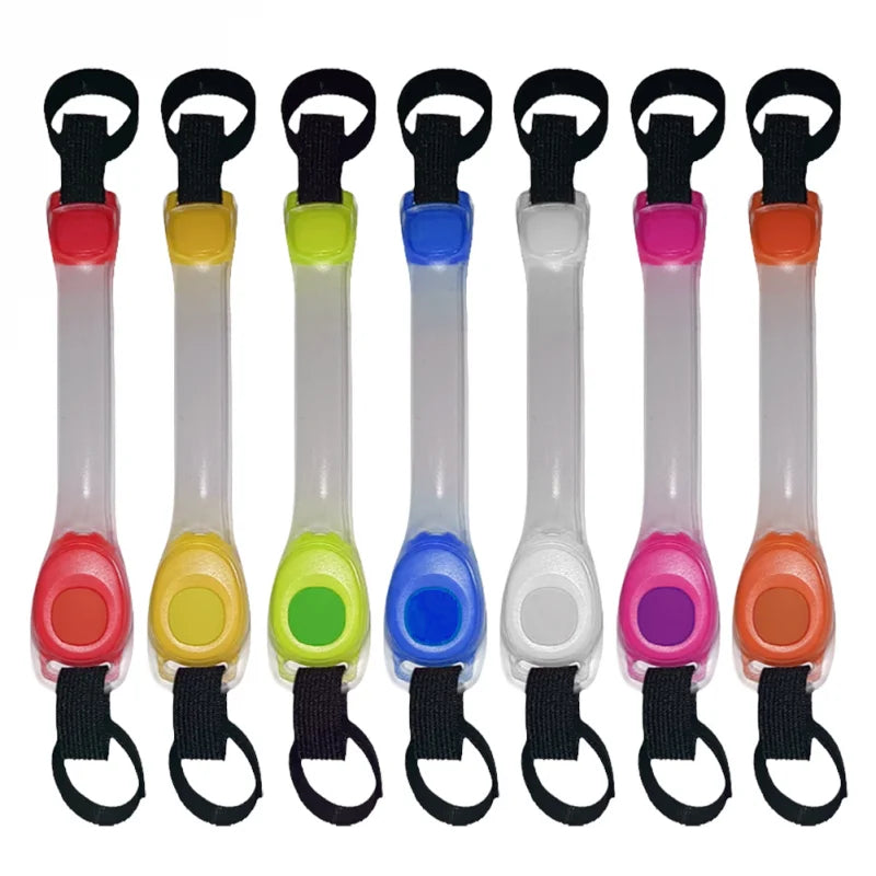 Collare e Guinzaglio LED Luminoso per Cani – Sicurezza e Visibilità con Protezione Antismarrimento!
