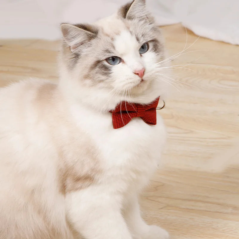 Collare Morbido con Fiocco e Campanellino – Per Gatti e Cani Mini!