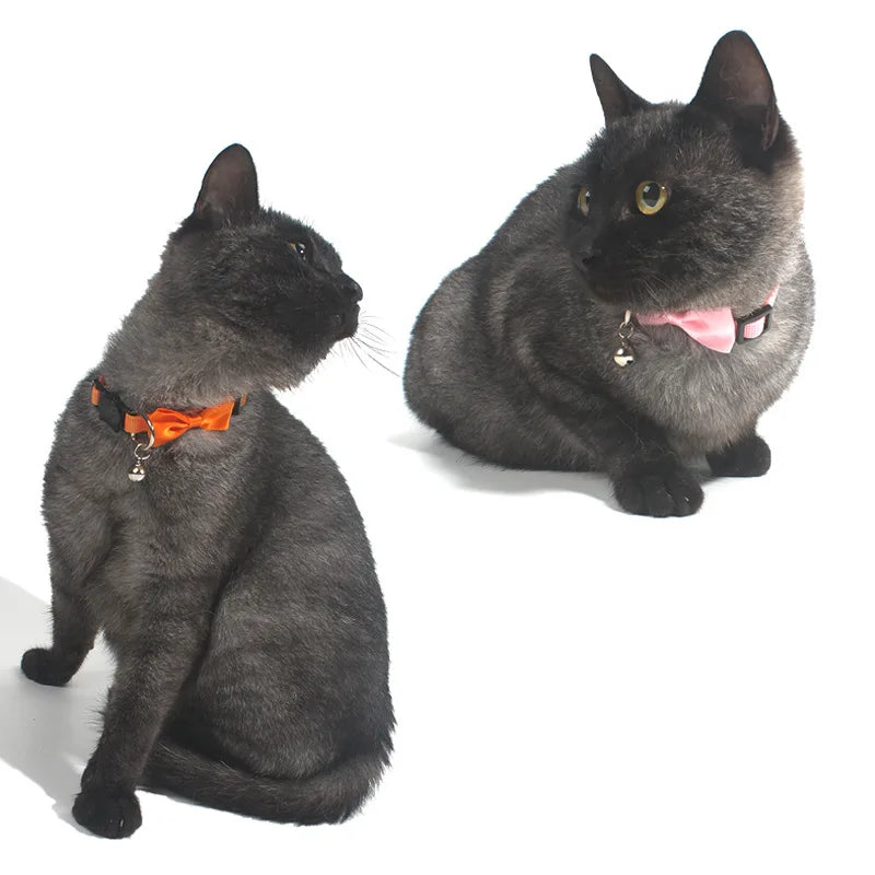Collari Carini e Regolabili per Gatti – Multicolor con Campanellino