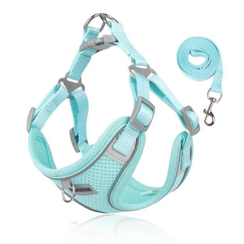 Dog Harness with Leash and Harness Set - Comfortable, Adjustable and Perfect for Small and Medium Dogs Like Chihuahua and Bulldog