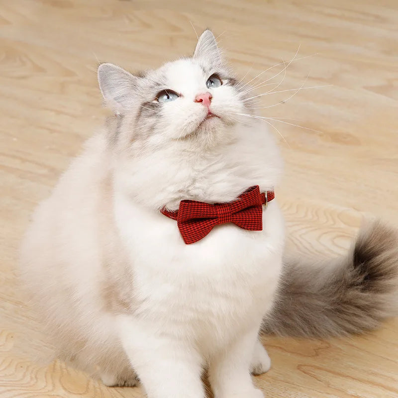 Collare Morbido con Fiocco e Campanellino – Per Gatti e Cani Mini!