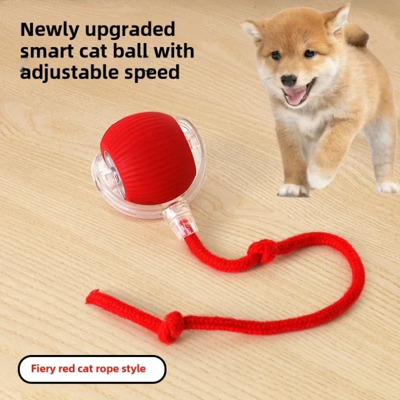 Pallina Smart con Coda – Il Gioco Elettrico Ricaricabile che Fa Impazzire Cani e Gatti