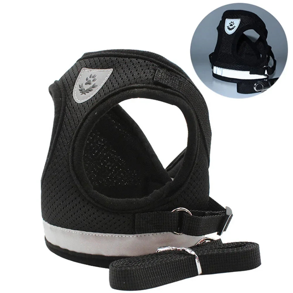 Cat and Dog Harness – Adjustable, Reflective and Escape-Proof for Safe Walks