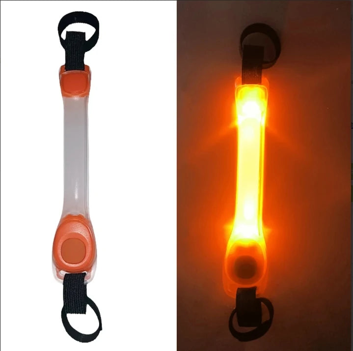 Collare e Guinzaglio LED Luminoso per Cani – Sicurezza e Visibilità con Protezione Antismarrimento!