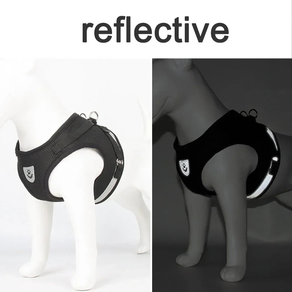 Cat and Dog Harness – Adjustable, Reflective and Escape-Proof for Safe Walks