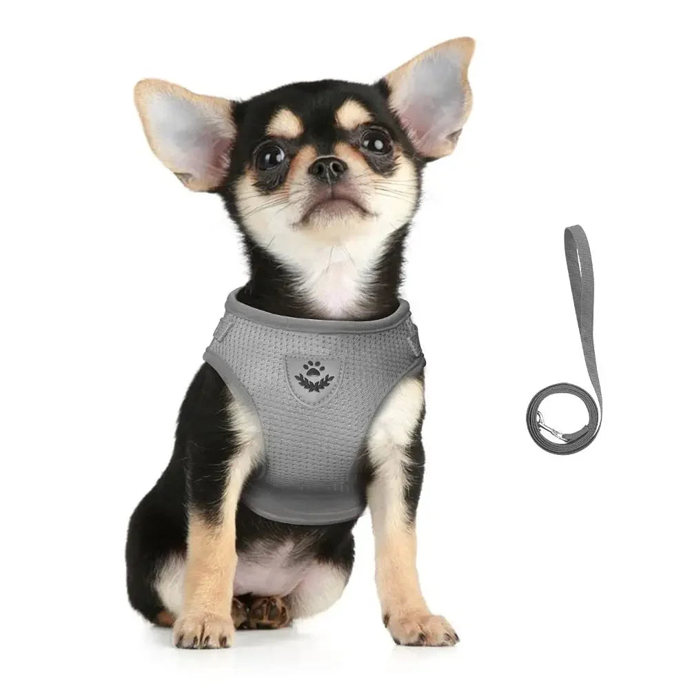 Cat and Dog Harness – Adjustable, Reflective and Escape-Proof for Safe Walks