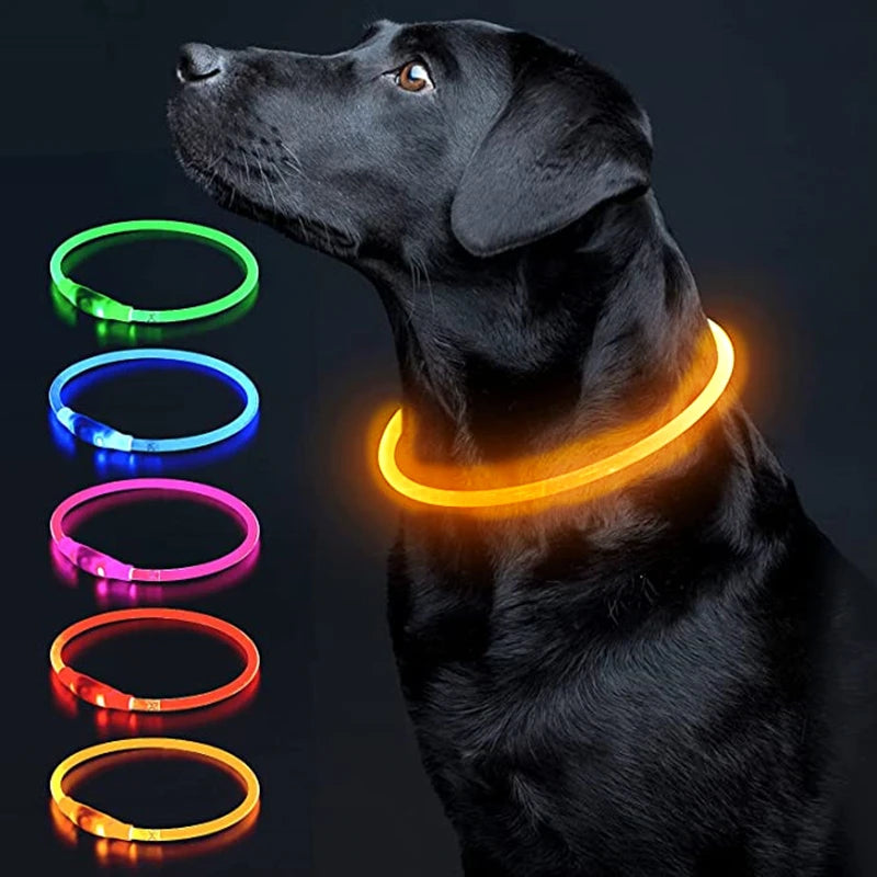 Collare LED Luminoso per Cani e Gatti – Ricaricabile USB e Sicuro per la Notte
