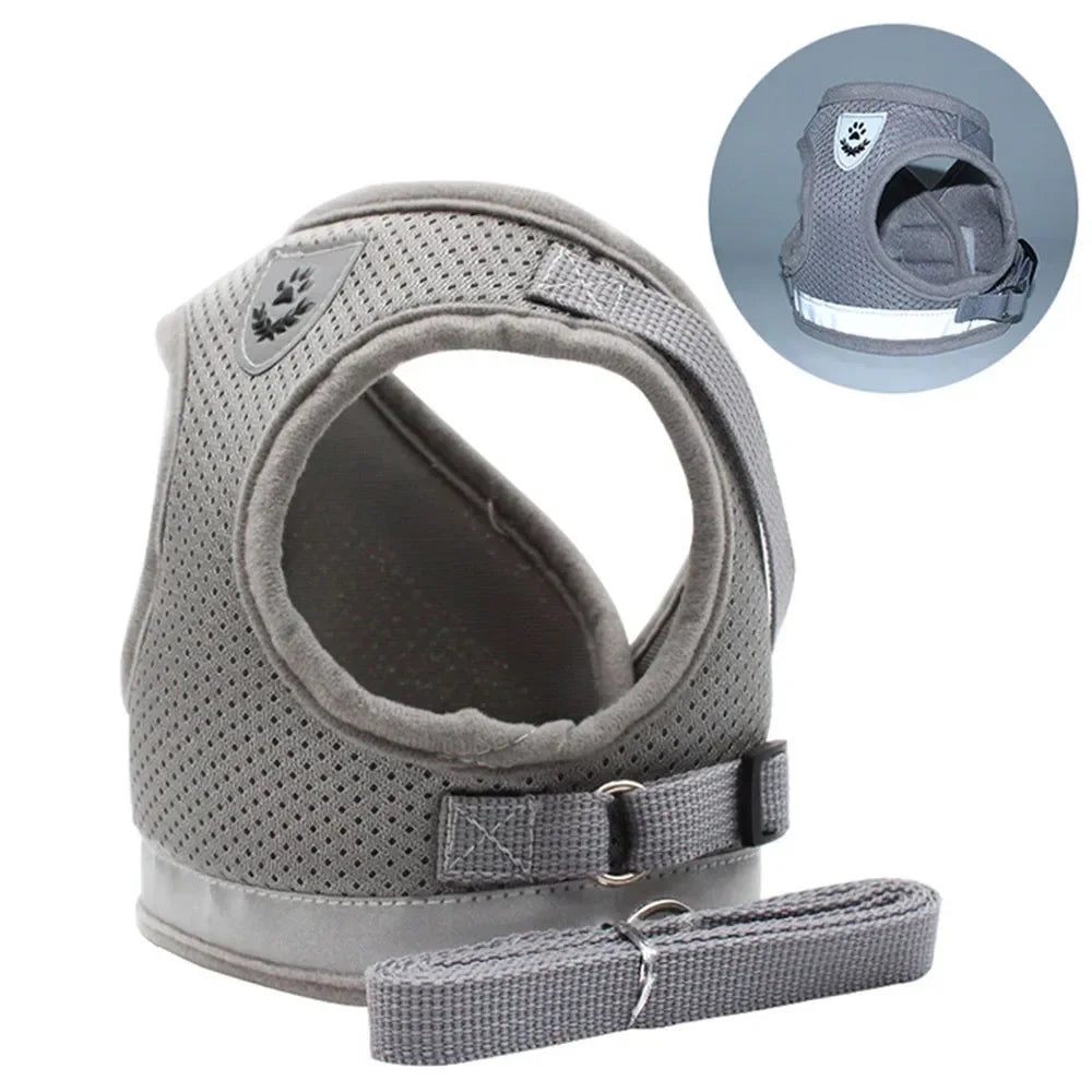 Cat and Dog Harness – Adjustable, Reflective and Escape-Proof for Safe Walks
