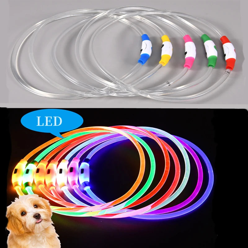 Collare LED Luminoso per Cani e Gatti – Ricaricabile USB e Sicuro per la Notte