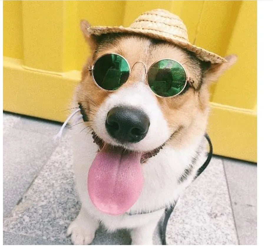 Occhiali da Sole per Gatti e Cani – Accessori Fashion e Divertenti per Piccoli Animali, Perfetti per Foto