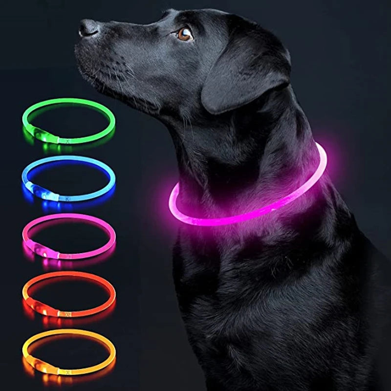 Collare LED Luminoso per Cani e Gatti – Ricaricabile USB e Sicuro per la Notte