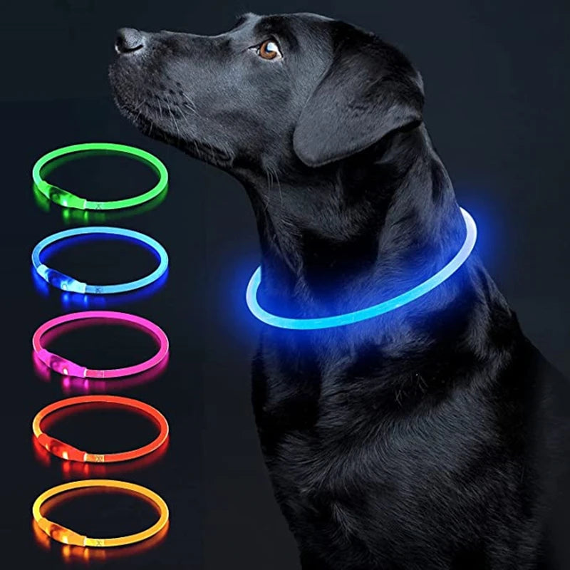 Collare LED Luminoso per Cani e Gatti – Ricaricabile USB e Sicuro per la Notte
