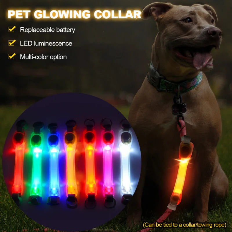 Collare e Guinzaglio LED Luminoso per Cani – Sicurezza e Visibilità con Protezione Antismarrimento!