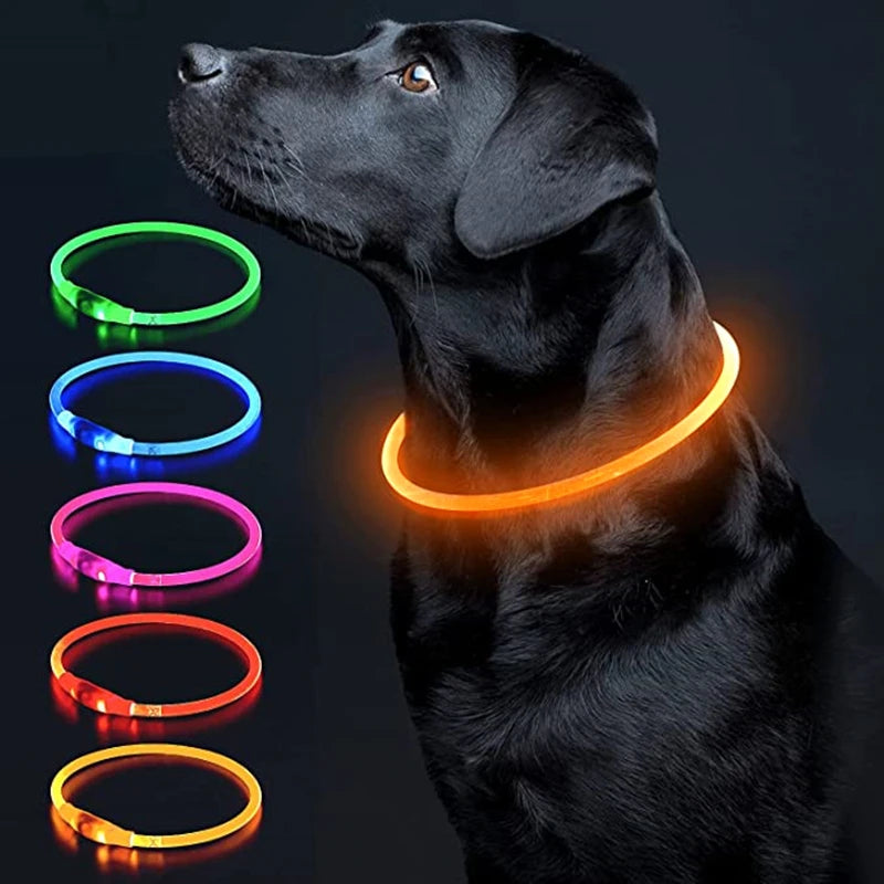 Collare LED Luminoso per Cani e Gatti – Ricaricabile USB e Sicuro per la Notte