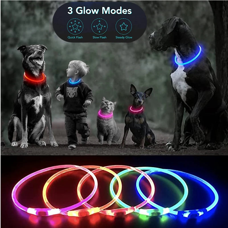 Collare LED Luminoso per Cani e Gatti – Ricaricabile USB e Sicuro per la Notte