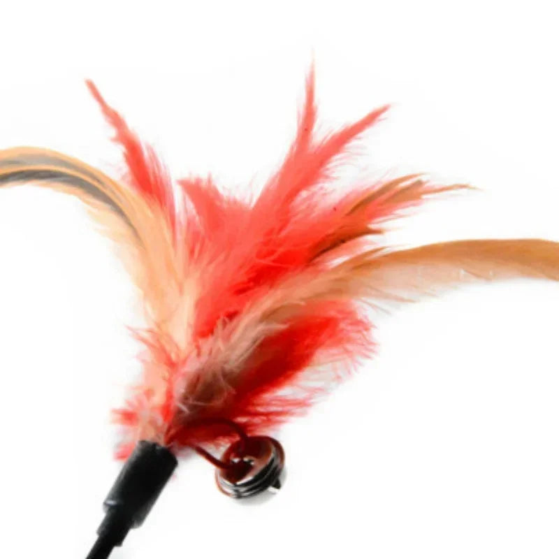 2 Cat Toys with Bell and Feathers - Interactive Fun for Your Cat: Stimulates Hunting Instinct, Hours of Entertainment
