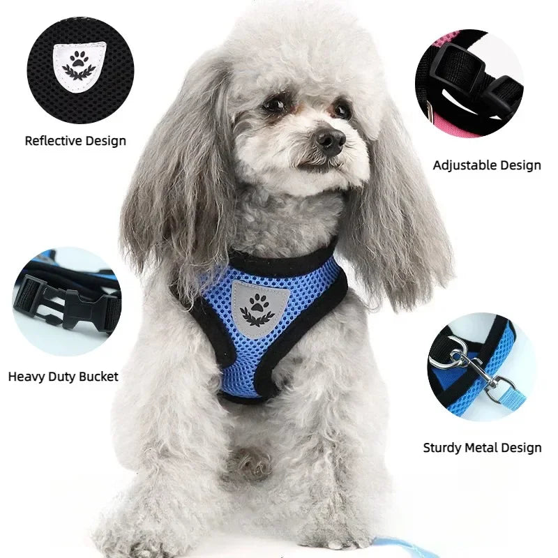 Imbracatura e Guinzaglio per Gatti e Cani – Collare Regolabile, Sistema Anti-Evasione per Passeggiate Sicure e Confortevoli