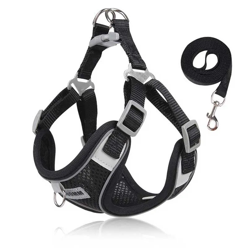 Dog Harness with Leash and Harness Set - Comfortable, Adjustable and Perfect for Small and Medium Dogs Like Chihuahua and Bulldog