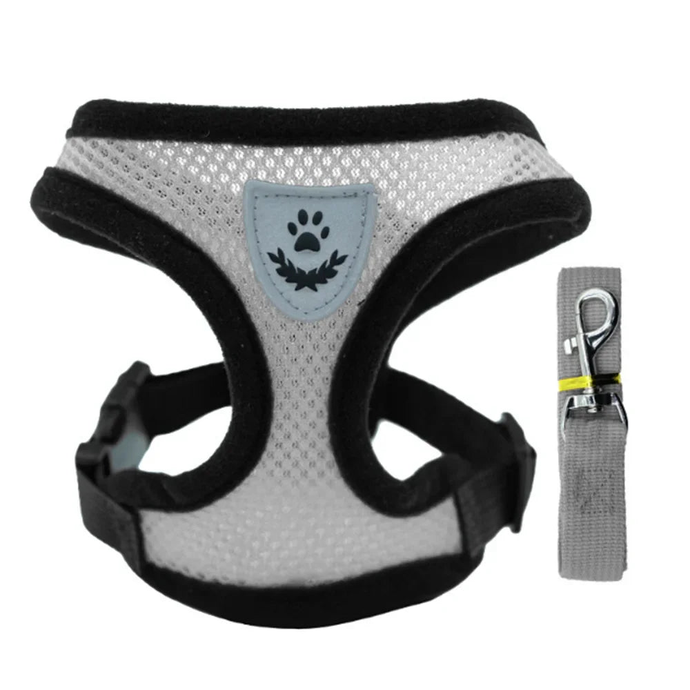 Imbracatura e Guinzaglio per Gatti e Cani – Collare Regolabile, Sistema Anti-Evasione per Passeggiate Sicure e Confortevoli