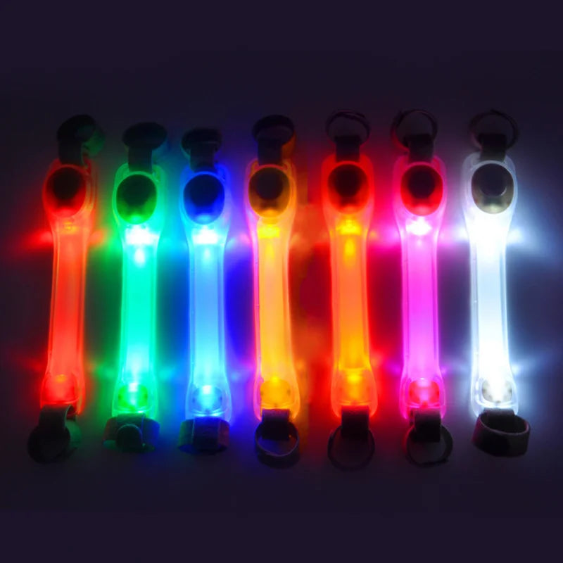 Collare e Guinzaglio LED Luminoso per Cani – Sicurezza e Visibilità con Protezione Antismarrimento!