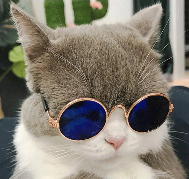 Occhiali da Sole per Gatti e Cani – Accessori Fashion e Divertenti per Piccoli Animali, Perfetti per Foto