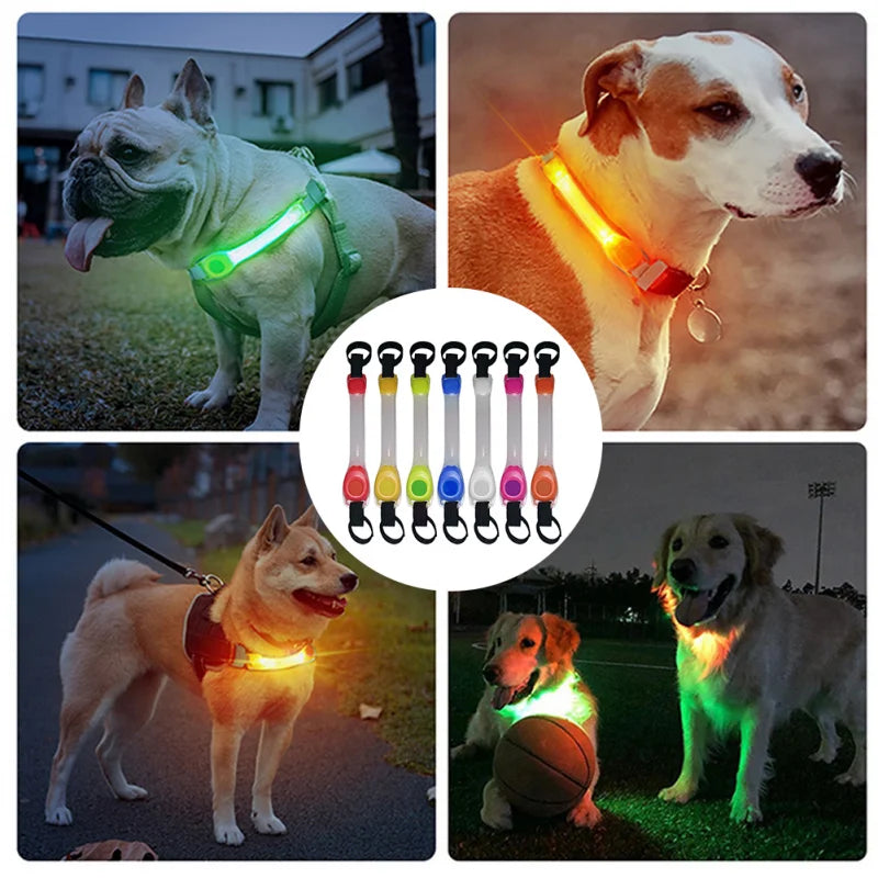 Collare e Guinzaglio LED Luminoso per Cani – Sicurezza e Visibilità con Protezione Antismarrimento!