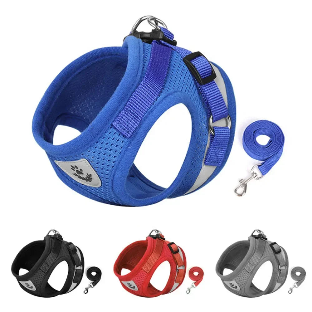 Cat and Dog Harness – Adjustable, Reflective and Escape-Proof for Safe Walks