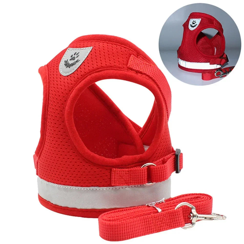 Cat and Dog Harness – Adjustable, Reflective and Escape-Proof for Safe Walks